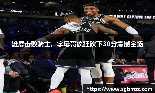 乐发II官网